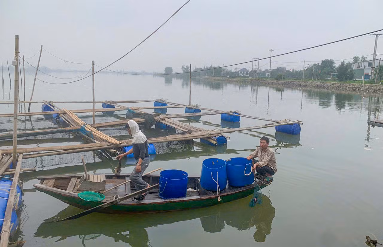 Ba ngày qua, người nuôi cá chim trắng ở khu vực gần chân cầu Hộ Độ (giáp ranh xã Hộ Độ (huyện Lộc Hà) và xã Thạch Hạ (thành phố Hà Tĩnh) thường trực nỗi lo thất thu khi cá nuôi chết hàng loạt. Ba ngày qua, người nuôi cá chim trắng ở khu vực gần chân cầu Hộ Độ (giáp ranh xã Hộ Độ (huyện Lộc Hà) và xã Thạch Hạ (thành phố Hà Tĩnh) thường trực nỗi lo thất thu khi cá nuôi chết hàng loạt.