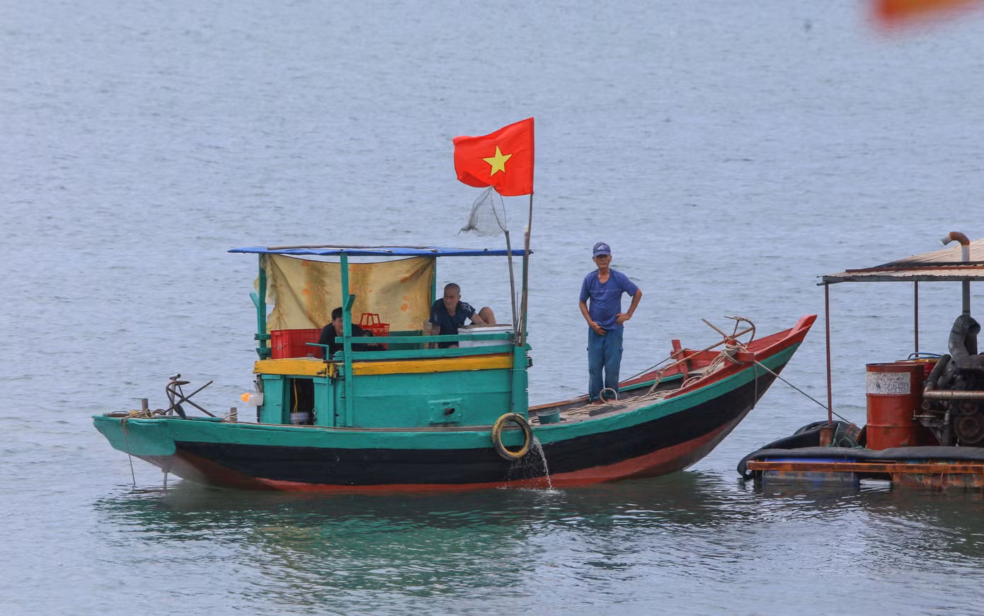 Dự án khi hoàn thành hứa hẹn giúp ngư dân địa phương vững vàng bám biển, thuận lợi trong việc ra khơi, đưa cá vào bờ bán cho thương lái, nâng cao hiệu quả phát triển kinh tế.