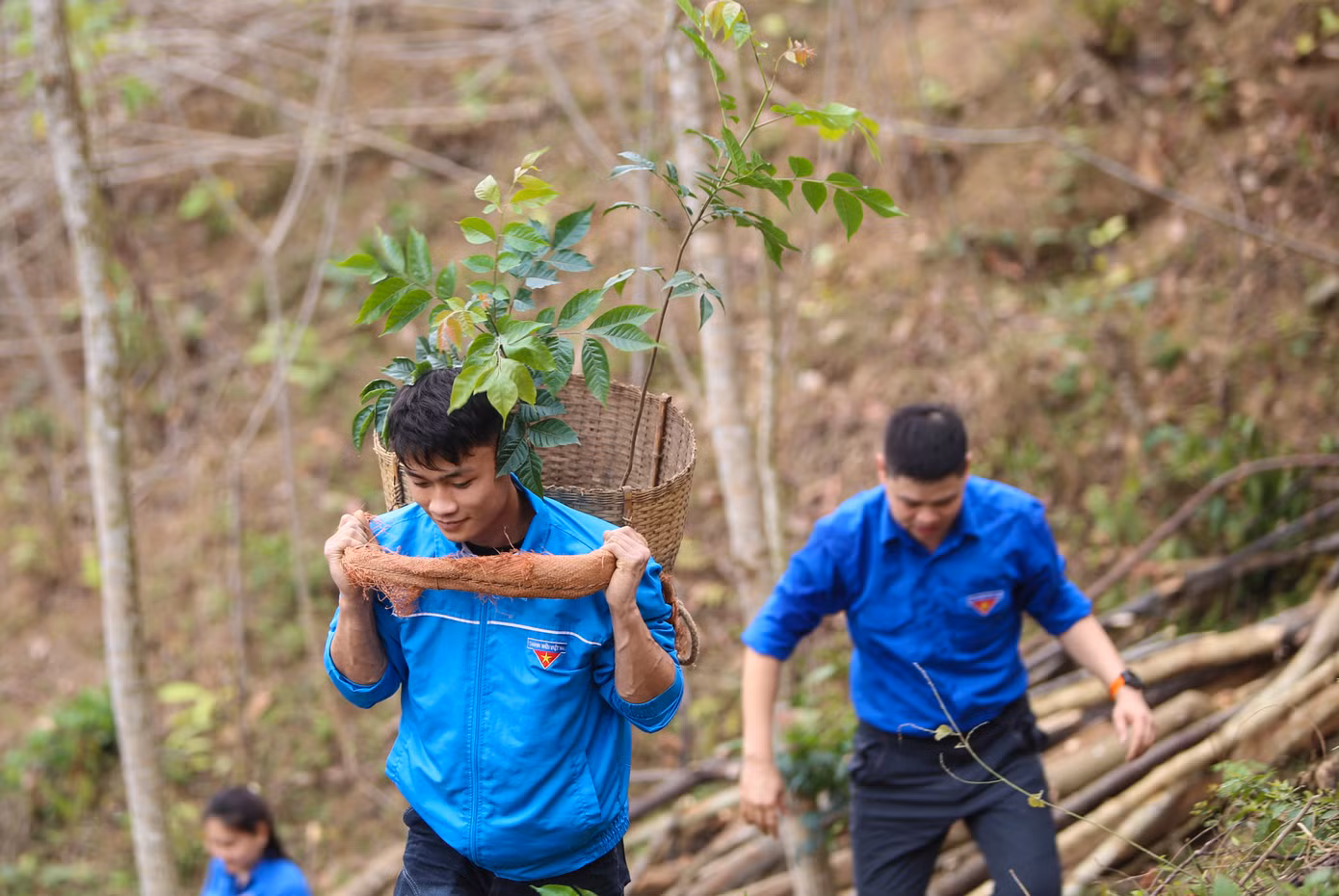Đại diện Ban Nội chính Trung ương hào hứng với mô hình sinh kế trồng hơn 500 cây lát hoa cho người dân vùng biên xứ Nghệ.