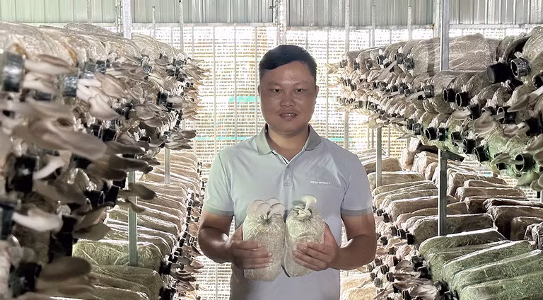 Nguyễn Thanh Long mỗi năm thu nhập tiền tỷ từ trồng nấm, điện mặt trời, sân bóng mini