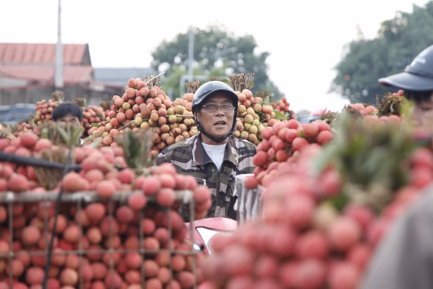 Chợ vải thiều nằm dọc quốc lộ 31 có chiều dài hàng chục km chạy qua huyện Lục Ngạn và thị xã Chũ (tỉnh Bắc Giang), với hàng trăm điểm cân vải.