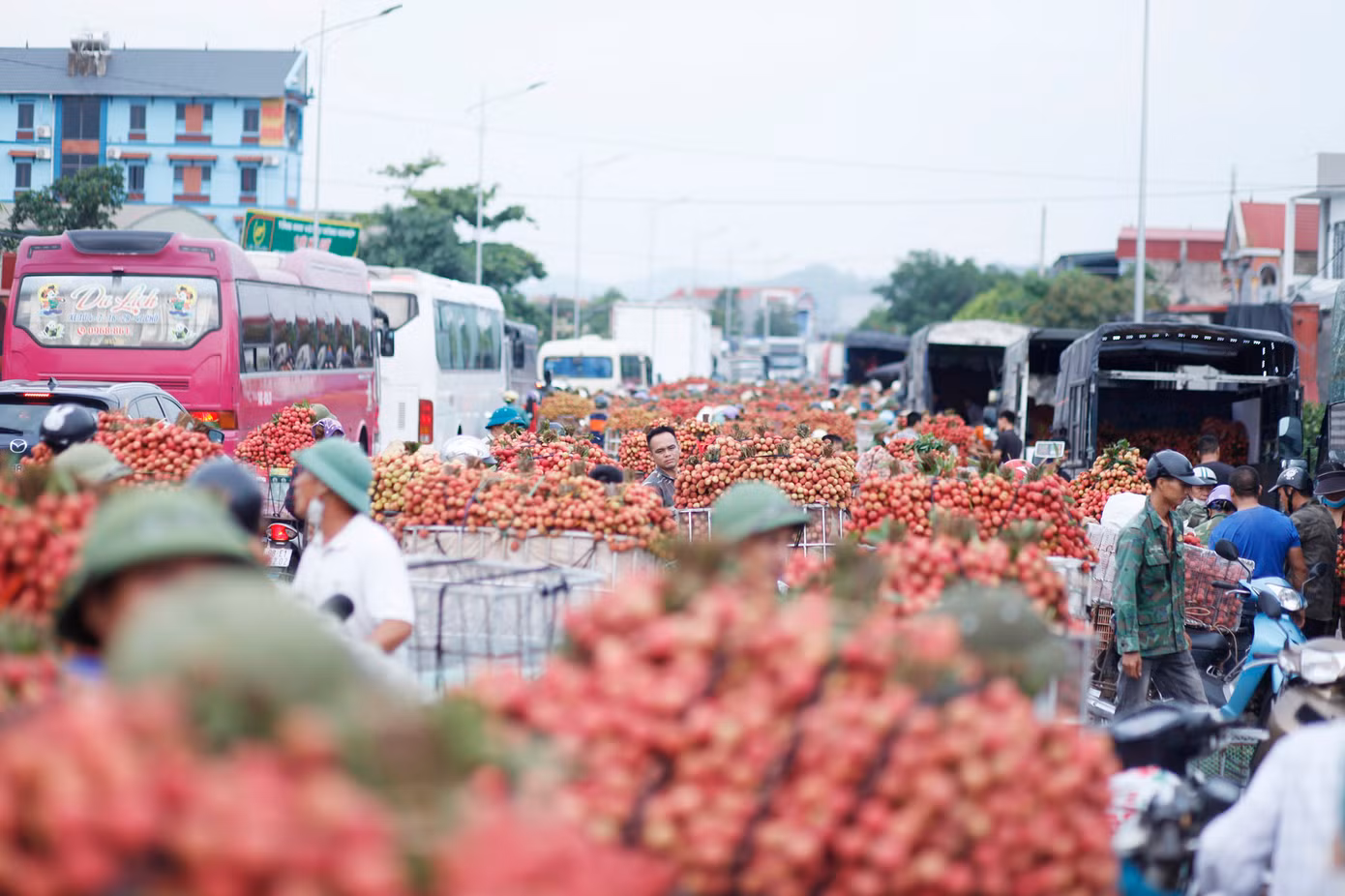 Một "đặc sản" của chợ vải thiều ở tỉnh Bắc Giang nằm dọc quốc lộ 31 là tắc đường vào đầu giờ sáng, khi có hàng nghìn người dân chở vải bán ở các điểm cân.