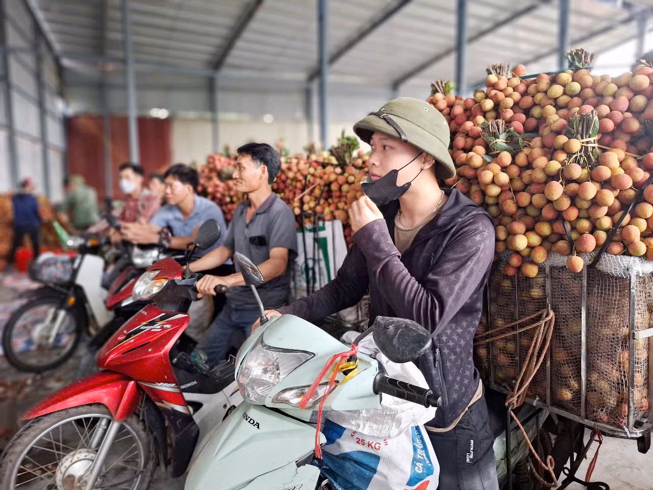 Người dân chờ cân vải thiều để bán vào miền Nam ở một điểm cân ven quốc lộ 31 tại thị xã Chũ (tỉnh Bắc Giang).
