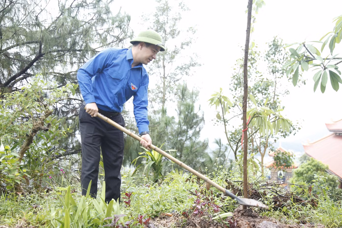 Bí thư Trung ương Đoàn Ngô Văn Cương trồng cây tại đỉnh Non Vua. Ảnh: Nguyễn Thắng