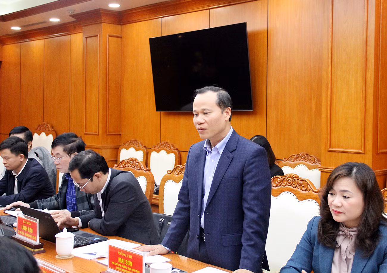 Ông Mai Sơn - Phó Chủ tịch Thường trực UBND tỉnh Bắc Giang phát biểu tại buổi làm việc.