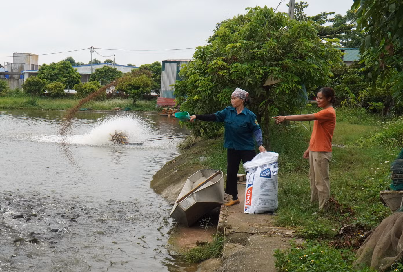 Chị Nguyễn Thị Quyên (bên phải) cải tạo vùng đất lò gạch thành trang trại tiên tỷ.