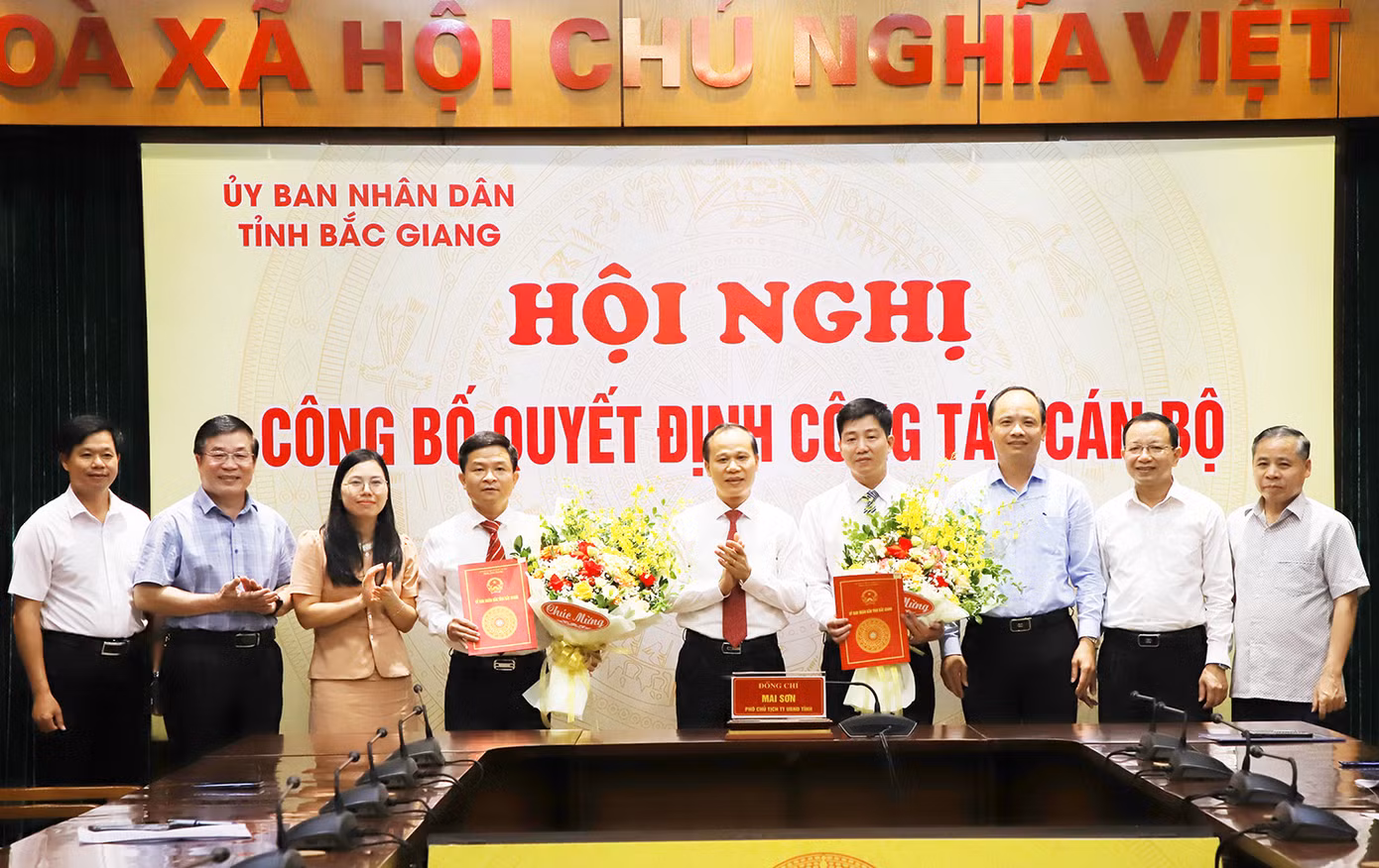 Phó Chủ tịch UBND tỉnh Bắc Giang Mai Sơn trao quyết định cho các cán bộ được bổ nhiệm, bổ nhiệm lại.
