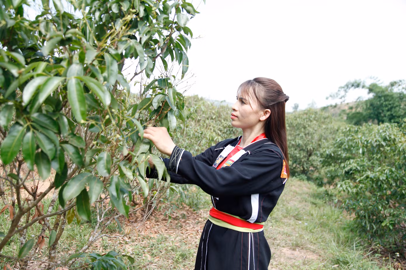 Chị Lục Thị Hương là gương thoát nghèo vươn lên làm giàu tiêu biểu ở huyện Sơn Động. Ảnh: Nguyễn Thắng