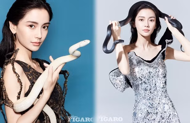 Trần Khôn bất ngờ đăng ảnh tình cảm bên Châu Tấn ảnh 12