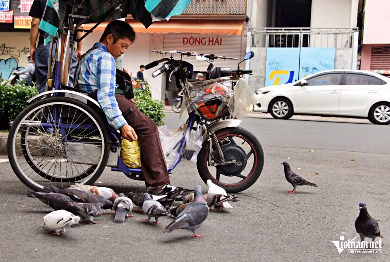 Đàn chim đã quen thuộc với anh Bình. Ảnh: Hà Nguyễn