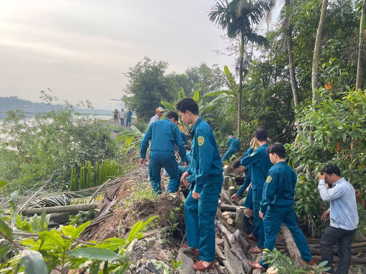 Lực lượng dân quân tự vệ hỗ trợ di dời các hộ dân bị ảnh hưởng và tiến hành gia cố đoạn đê sông Sài Gòn bị sạt lở. Ảnh: M. Hoàng.
