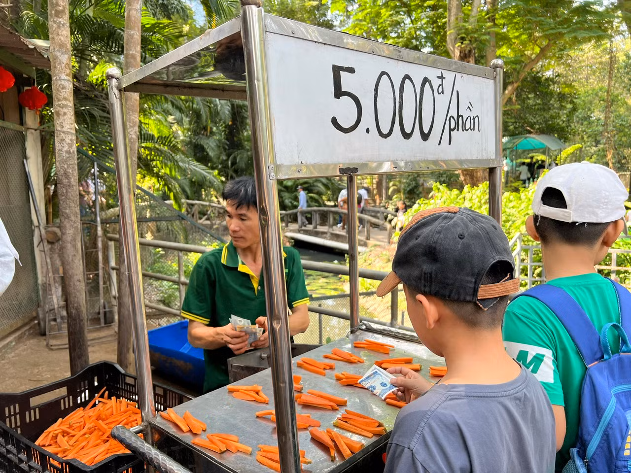 Nhân viên Thảo Cầm Viên Sài Gòn chuẩn bị sẵn đồ ăn như cà rốt, mía, cỏ... để du khách mua cho thú ăn, mỗi phần có giá chỉ 5.000 đồng.
