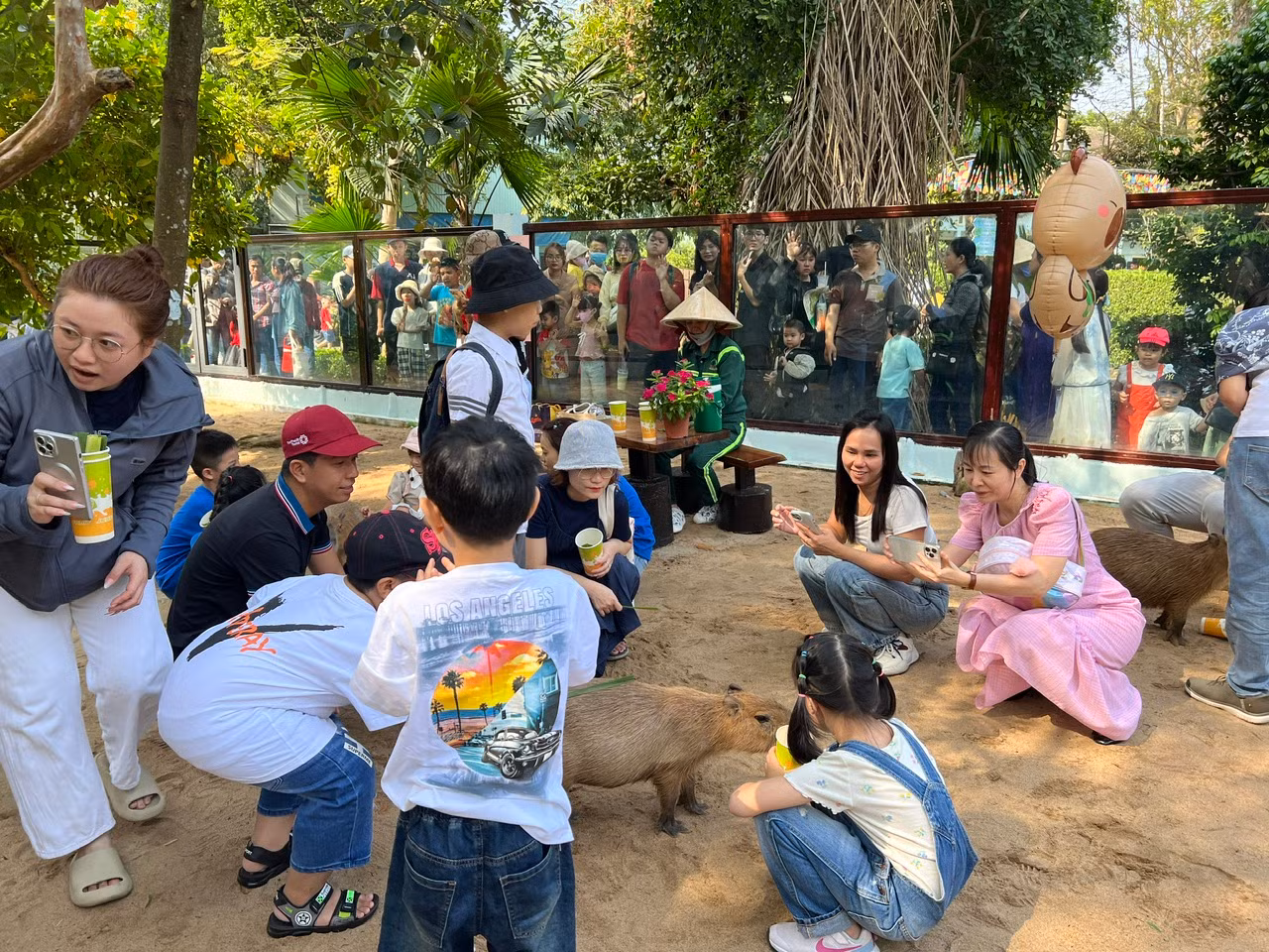 Rất nhiều du khách đứng bên ngoài chờ đợi để được vào chơi cùng capybara, nhiều người chờ từ sáng đến buổi chiều mới đến lượt.