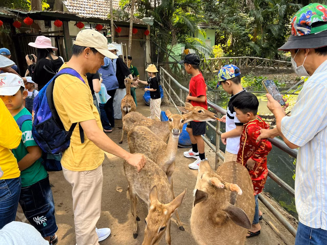 "Tôi thường cho các con vào sở thú vui chơi những dịp lễ, Tết. Tại đây, các con học được nhiều điều thú vị về thế giới động vật xung quanh, dạn dĩ và biết yêu thương động vật" - anh Tâm (đến từ huyện Nhà Bè, TPHCM) chia sẻ.
