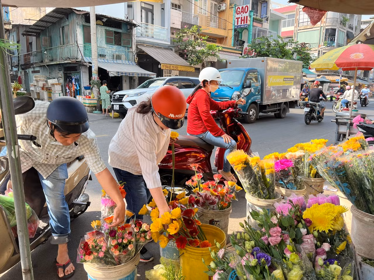 Các loại hoa đồng tiền, cát tường cũng đắt hàng thời điểm này Các loại hoa đồng tiền, cát tường cũng đắt hàng thời điểm này