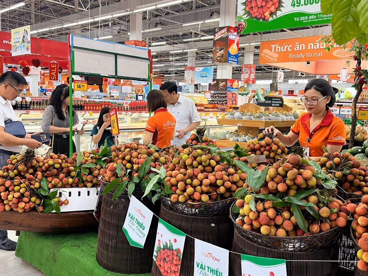 Cuối tháng 5 vừa qua, tại TPHCM, UBND huyện Lục Ngạn phối hợp cùng thị xã Chũ (Bắc Giang) tổ chức lễ ký kết chương trình tiêu thụ vải thiều tại thị trường phía Nam với các hệ thống bán lẻ lớn như Saigon Co.op, chợ đầu mối nông sản Thủ Đức, chợ đầu mối Bình Điền… nhằm hỗ trợ tiêu thụ sản phẩm vào mùa cao điểm. Ông Lương Thế Tuấn, Bí thư Huyện ủy Lục Ngạn cho biết, vùng sản xuất vải thiều của huyện Lục Ngạn và thị xã Chũ đã chính thức bước vào vụ thu hoạch. Mùa vụ vải thiều năm nay bắt đầu từ giữa tháng Sáu và dự kiến kết thúc vào cuối tháng Bảy.