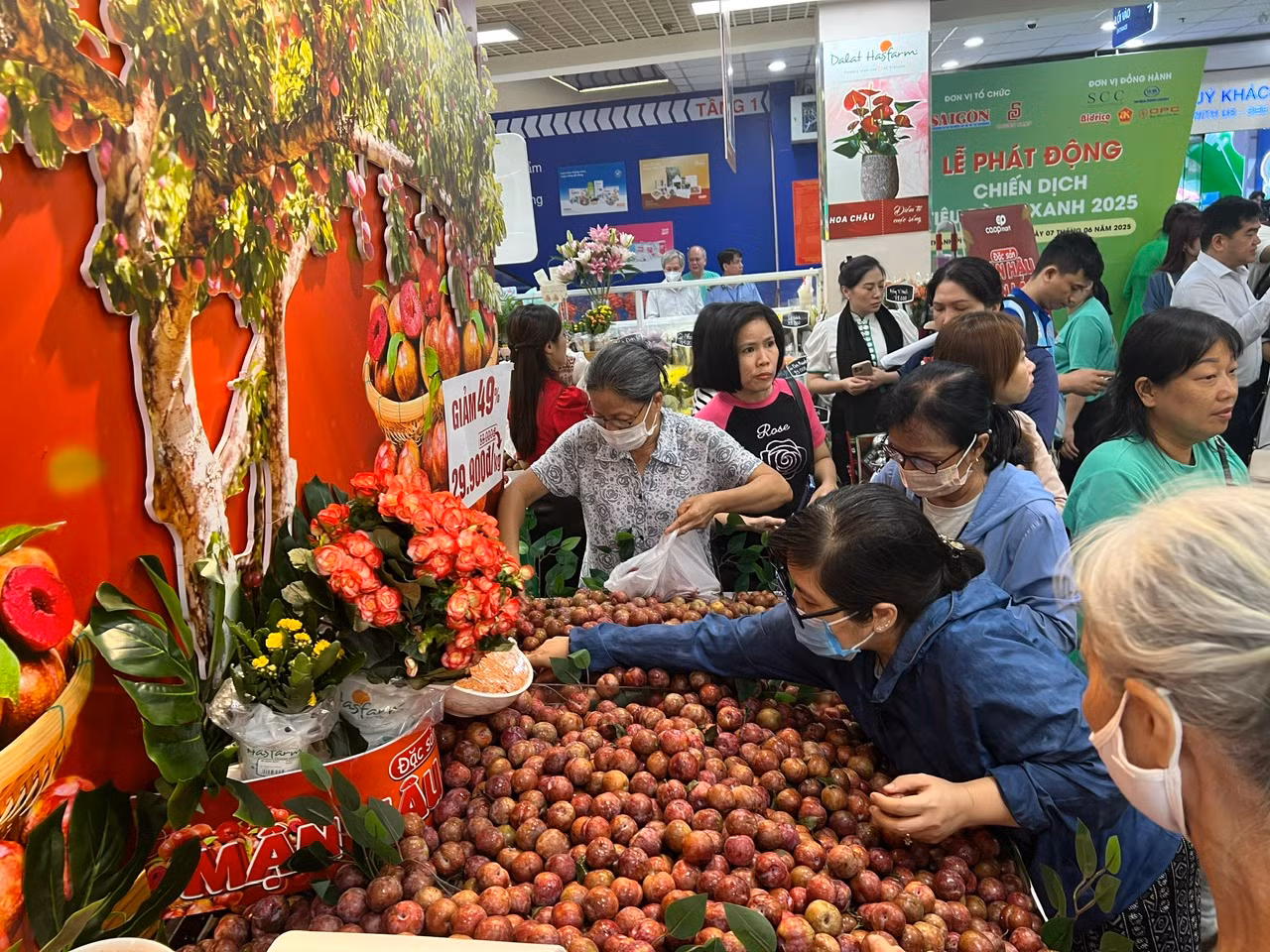 Mận hậu Sơn La bán tại các siêu thị ở TPHCM được nhập trực tiếp từ nhà vườn của tỉnh Sơn La, không qua khâu trung gian. Hàng luôn tươi mới, giá phải chăng nên người tiêu dùng TPHCM xếp hàng để mua