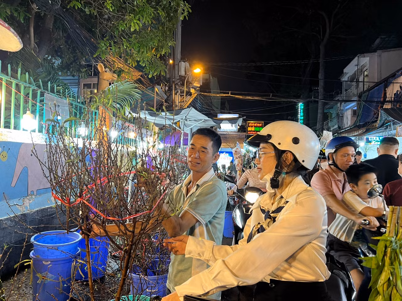 Chỉ còn chưa đến 2 ngày nữa là đến Tết Nguyên đán Ất Tỵ 2025, ai cũng hối hả sắm Tết, và hoa cũng là thứ không thể thiếu trong mỗi gia đình những ngày Tết đến, xuân về.