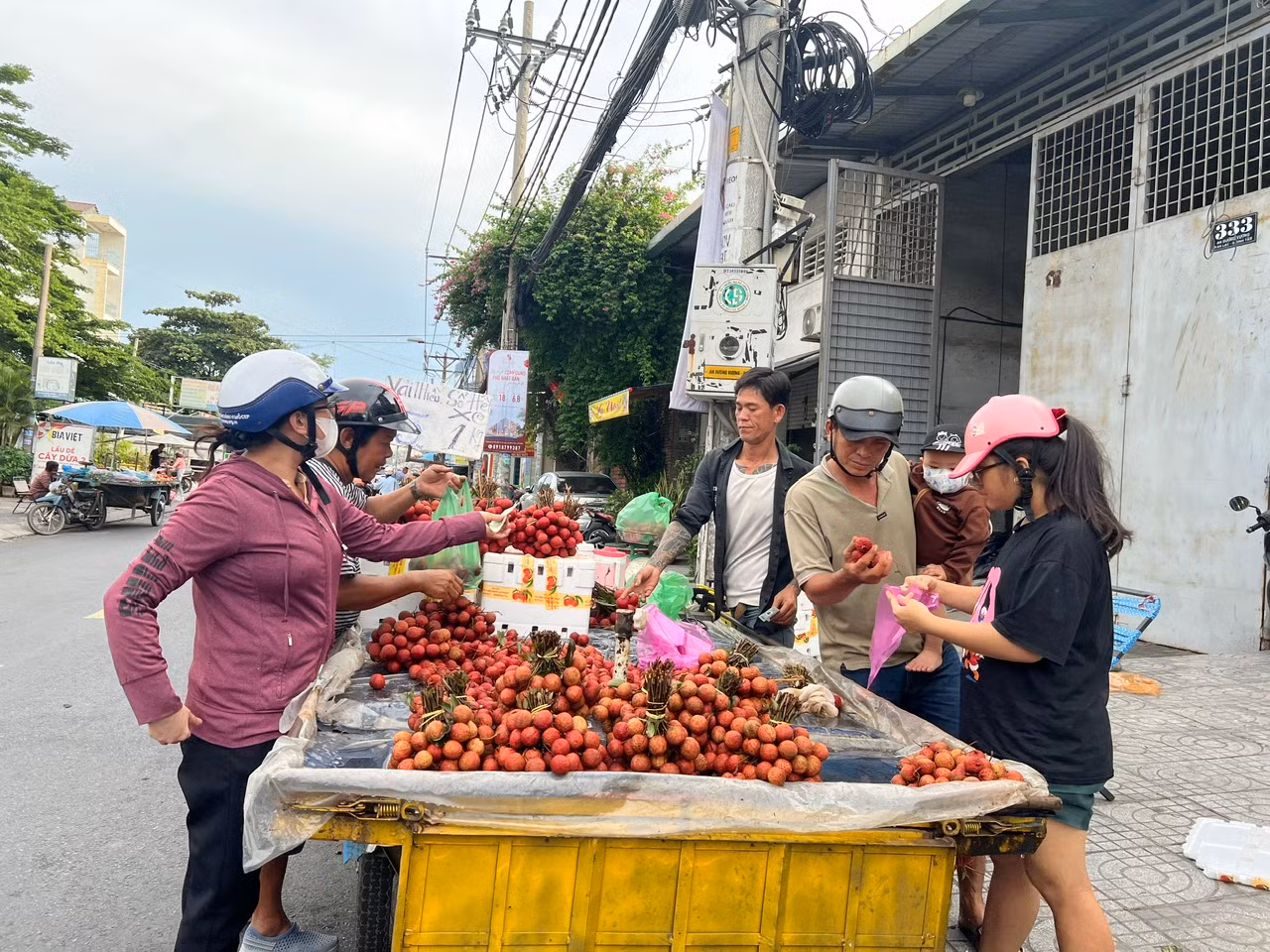 Thậm chí, người bán còn đại hạ giá, chỉ 15.000 đồng/kg thu hút rất đông khách mua
