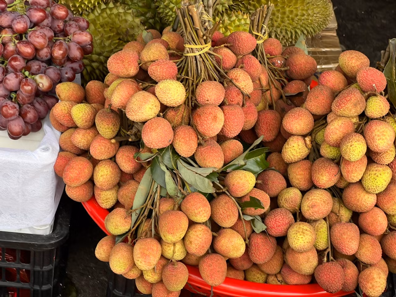 Những quả vải chín mọng, vỏ căng mướt nhưng giá lại rất mềm.