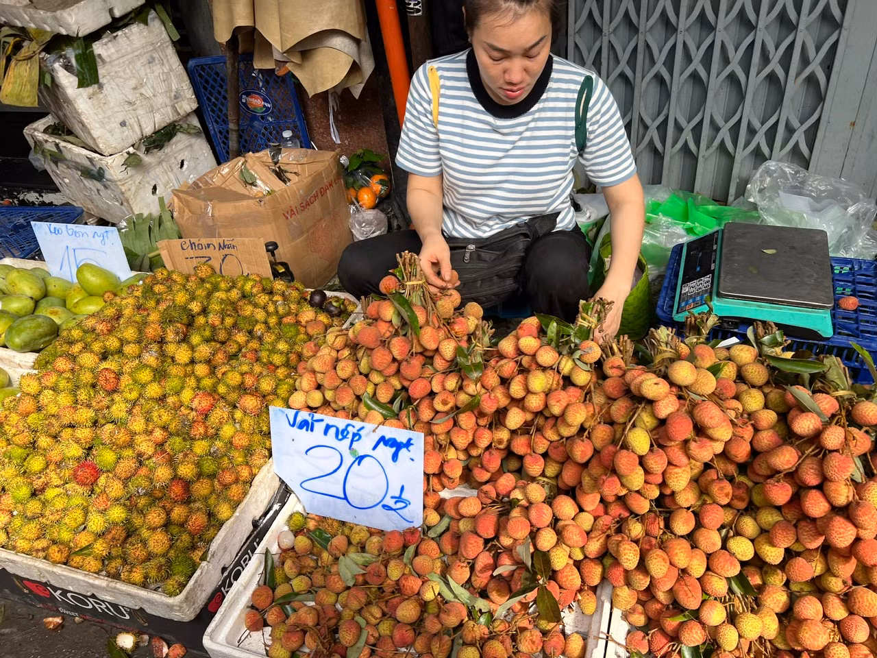 Trưa 25/5, tại nhiều chợ truyền thống như Bà Chiểu, Thị Nghè (quận Bình Thạnh), Tân Định (quận 1), Hòa Bình (quận 5)... các quầy hàng đều chất đầy ắp những chùm vải tươi chín đỏ. Quả vải tươi được tiểu thương bày bán có giá từ 30.000 - 40.000 đồng/kg, chủ yếu từ Hà Nội chở xuống.