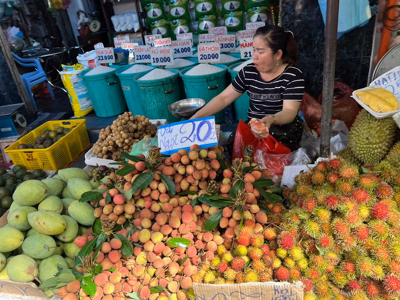 Hầu như sạp hàng nào cũng bày bán những quả vải chín mọng, căng tròn