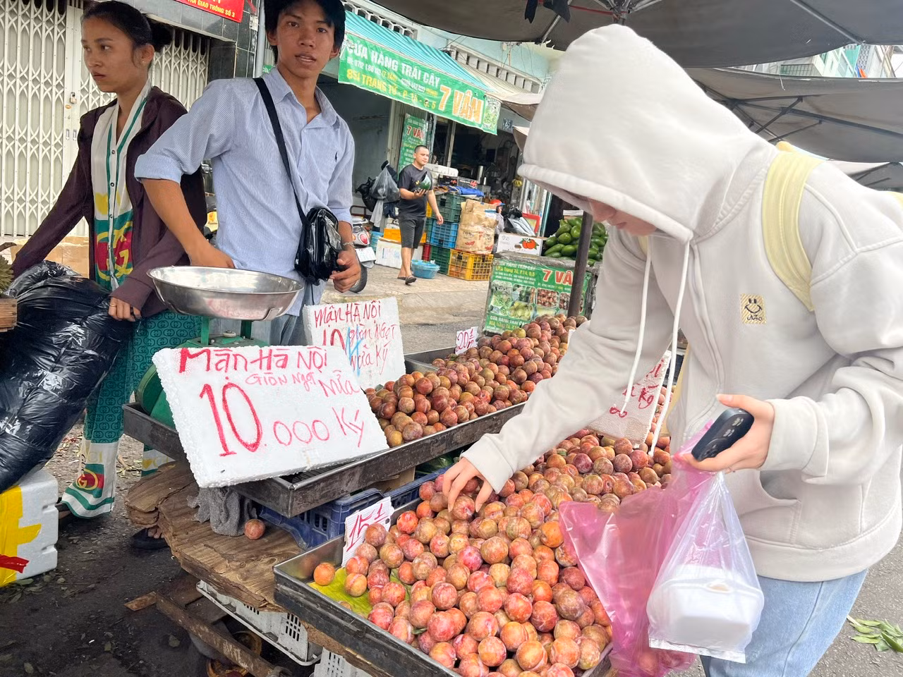 Tại các chợ truyền thống và nhiều tuyến đường ở TPHCM, mận hậu bán đầy các quầy sạp, giá chỉ 20.000 đồng/kg. Mận hậu đang vào mùa nên quả to, ngọt chứ không còn vị chua chát như hồi đầu mùa, đặc biệt giá rất rẻ
