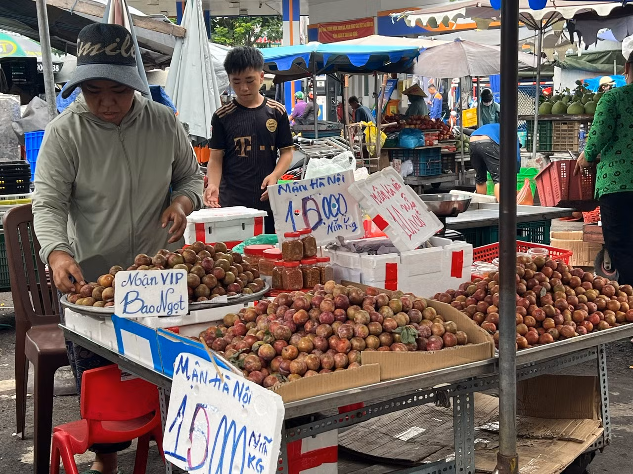 Tại các chợ truyền thống và nhiều tuyến đường ở TPHCM, mận hậu bán đầy các quầy sạp, giá chỉ 20.000 đồng/kg. Mận hậu đang vào mùa nên quả to, ngọt chứ không còn vị chua chát như hồi đầu mùa, đặc biệt giá rất rẻ