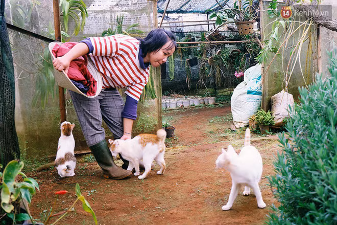 Cuộc sống bình dị vạn người mơ của cô thạc sĩ bỏ phố lên rừng ảnh 2