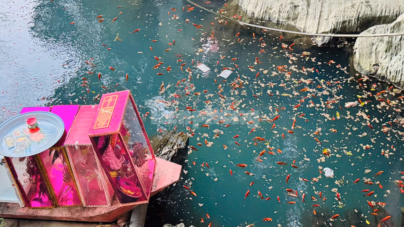 Môi trường nước tại khu vực 9 giếng trước cửa Đền Cô Chín được chụp chiều 30/1. Ảnh: Nghiêm Huê