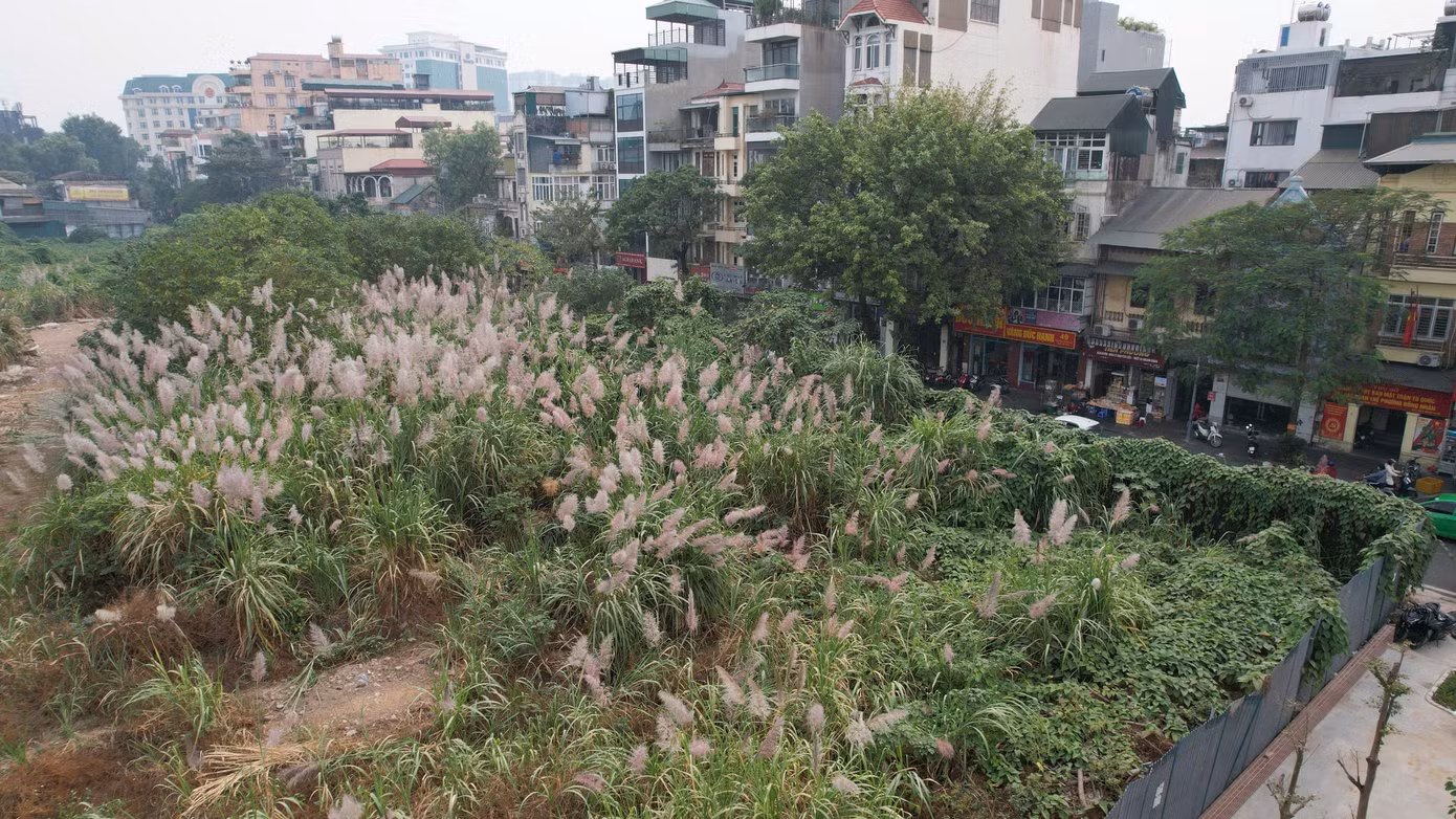 Công ty TNHH Đầu tư kinh doanh và Phát triển đô thị Thiên Bình có trụ sở tại số 94 Lò Đúc, người đại diện pháp luật là ông Đỗ Anh Dũng (góp 99% vốn), thời điểm này ông Đỗ Anh Dũng cũng là Chủ tịch Công ty Cổ phần Tập đoàn Tân Hoàng Minh