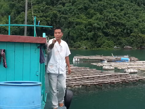 Ông Thụ giờ không phải vất vả tự tay làm những việc liên quan tới nuôi trồng nữa vì thuê người làm nhưng riêng ươm giống thì vẫn tự tay ông làm