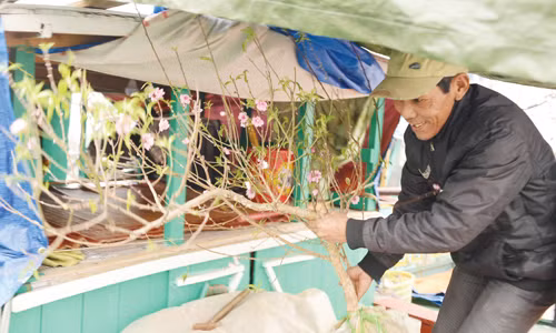 Lênh đênh trên làng chài di sản ảnh 2