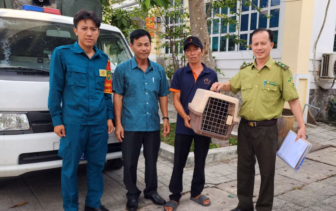 Anh Nguyễn Văn Để (ngụ xã Lê Minh Xuân, huyện Bình Chánh, thứ 3 từ trái sang) giao nộp khỉ mặt đỏ cho cơ quan chức năng