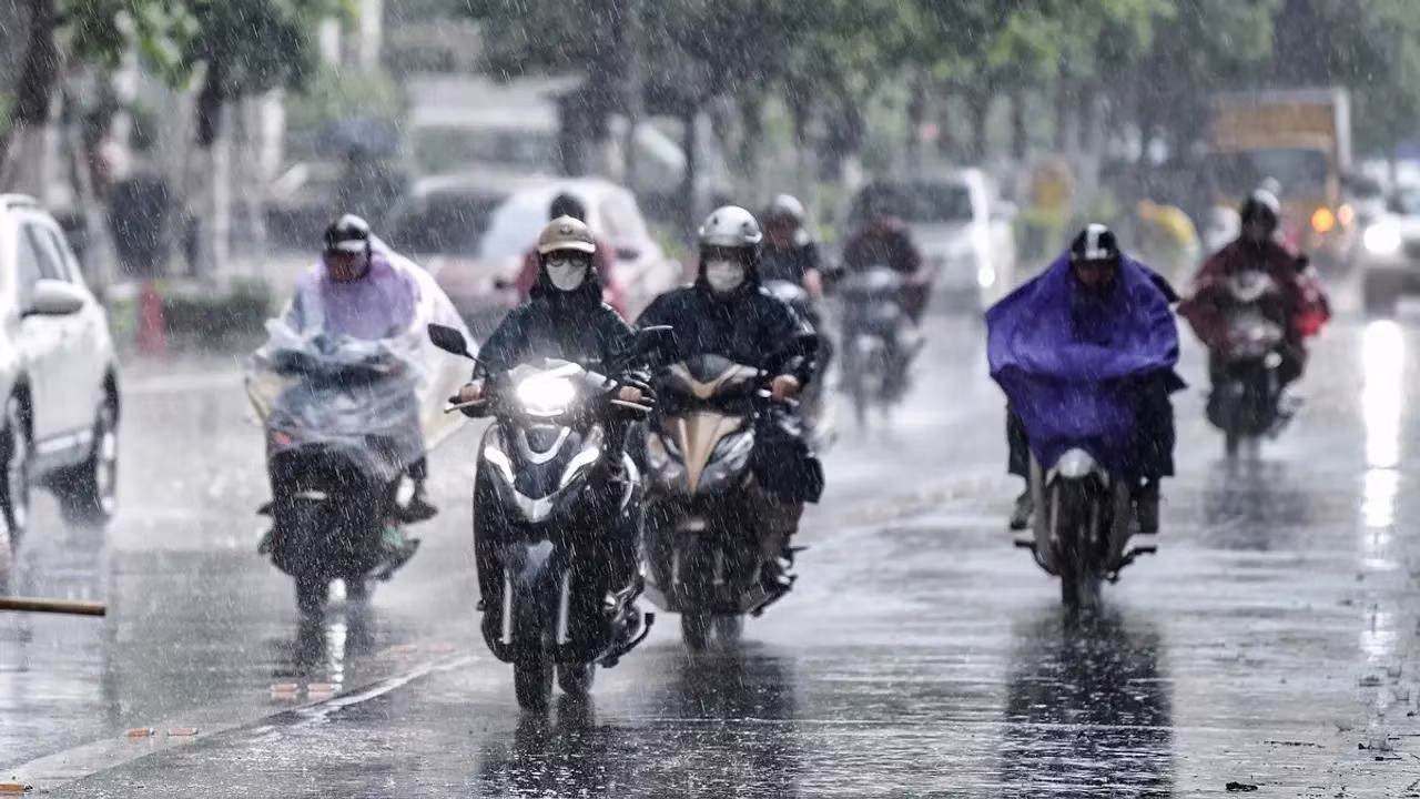 (Ảnh minh họa từ Internet)