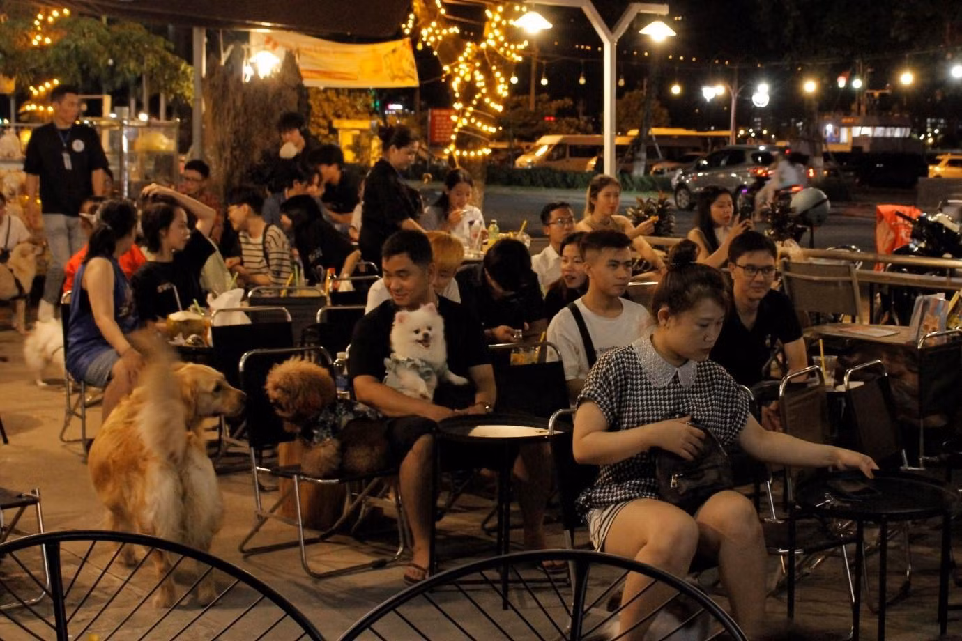 Ngoài các tiết mục ca nhạc, ảo thuật đặc sắc còn có những thước phim ghi lại hành trình ý nghĩa của Team 16 đem lại cho những người tham dự nhiều cảm xúc lắng đọng và sẻ chia.