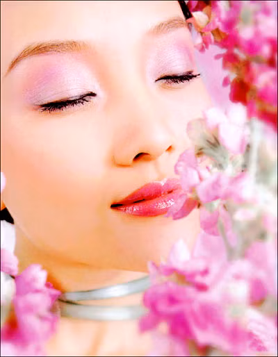 minh họa