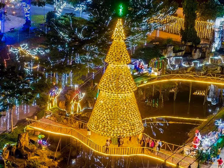 Tại nhà thờ giáo xứ Phú Hạ (xã Hòa Sơn, huyện Hòa Vang, TP. Đà Nẵng), những giáo dân của giáo xứ đã sáng tạo, làm nên cây thông Noel từ hàng nghìn chiếc nón lá trong dịp lễ Giáng sinh năm nay.