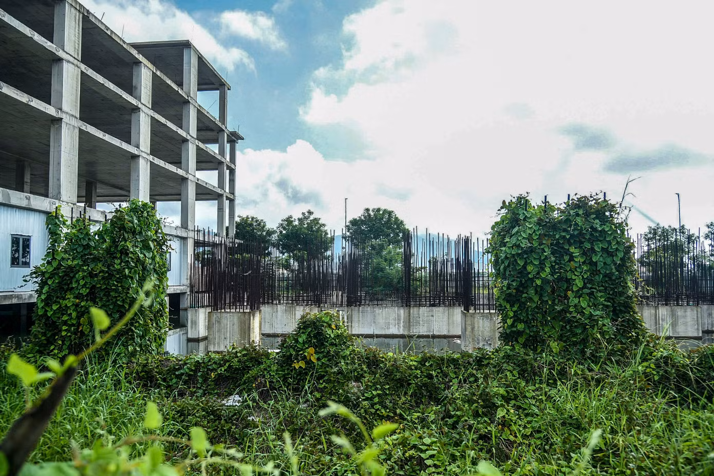 Ghi nhận của PV Tiền Phong, xung quanh dự án trên đường Như Nguyệt được vây kín bằng tôn hiện đã gỉ sét, xiêu vẹo. Phía bên trong cỏ, cây dại mọc tràn lan, lấp kín cả các hạng mục xây dựng.