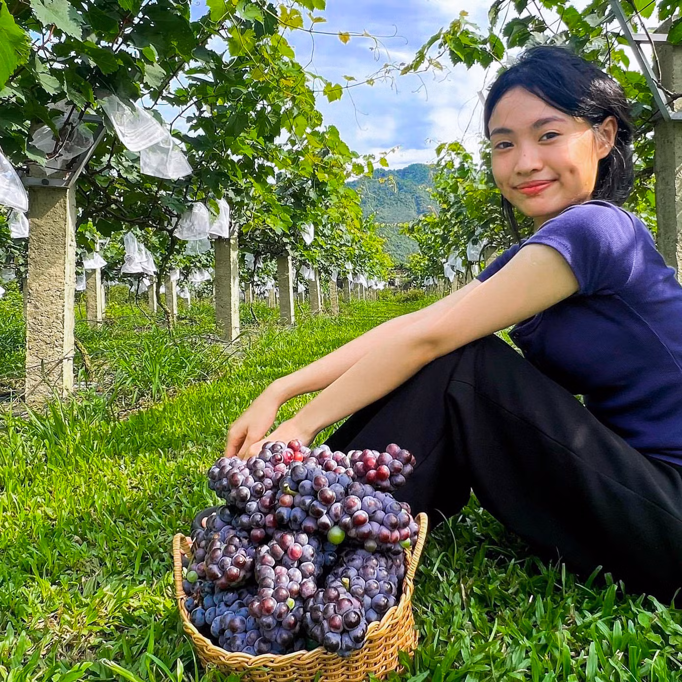 Bạn Phạm Hạnh Nguyên rất thích thú khi được trải nghiệm, tự tay mình hái nho. “Em biết đến vườn nho này nhờ thấy trên mạng xã hội nên đã tìm đến, dù phải đi hơn 20km mới tới được đây. Lần đầu tiên tự tay mình hái nho, thưởng thức ngay tại vườn cảm giác thật tuyệt vời, em thấy khung cảnh ở đây rất đẹp và yên bình”, Hạnh Nguyên cho biết.