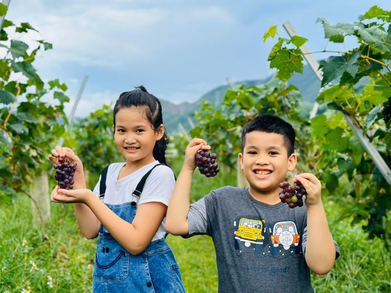 Nhiều em nhỏ háo hức khi đến vườn nho.