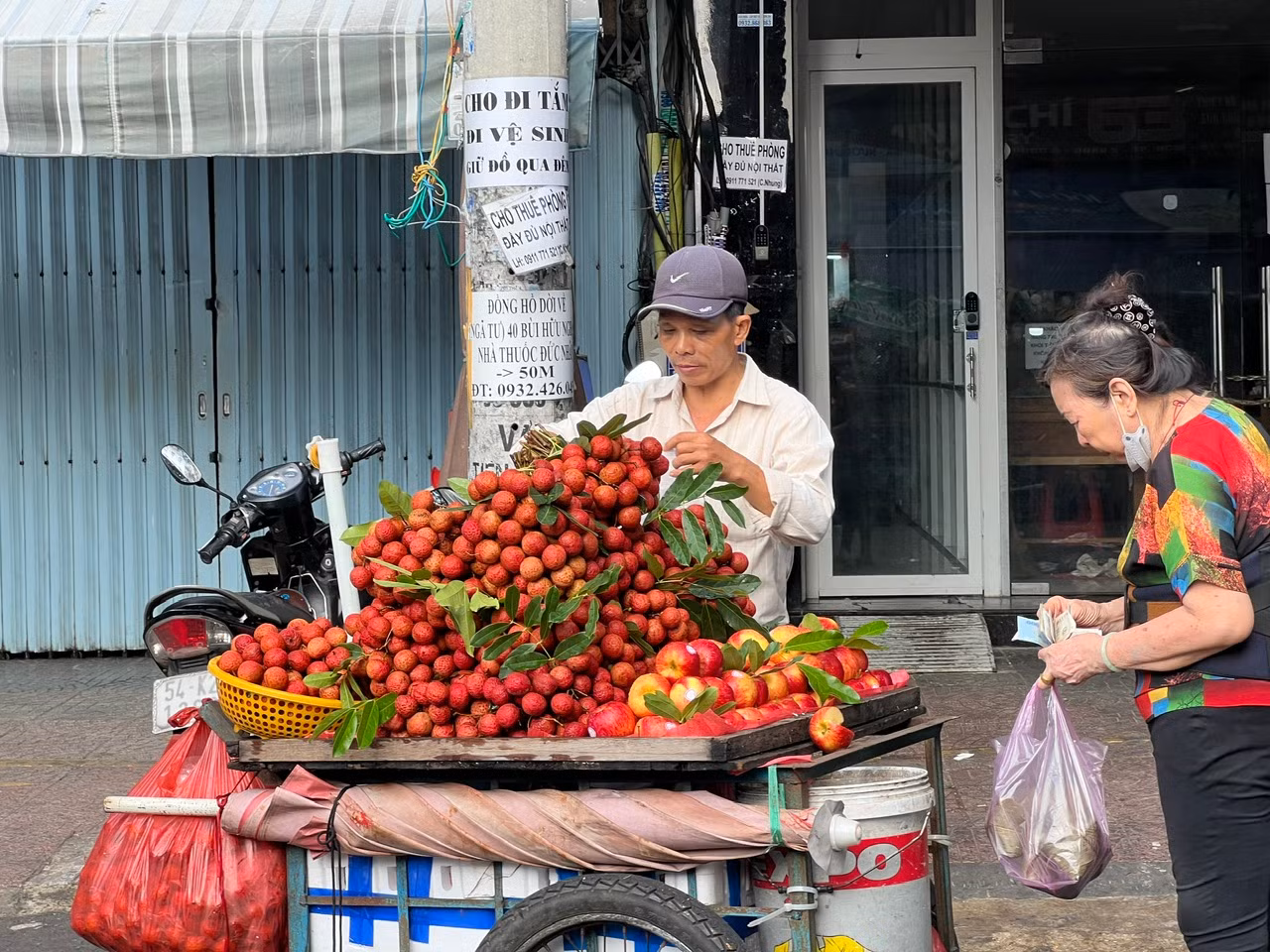 Vải đang vào mùa có giá khá rẻ được nhiều khách chọn mua