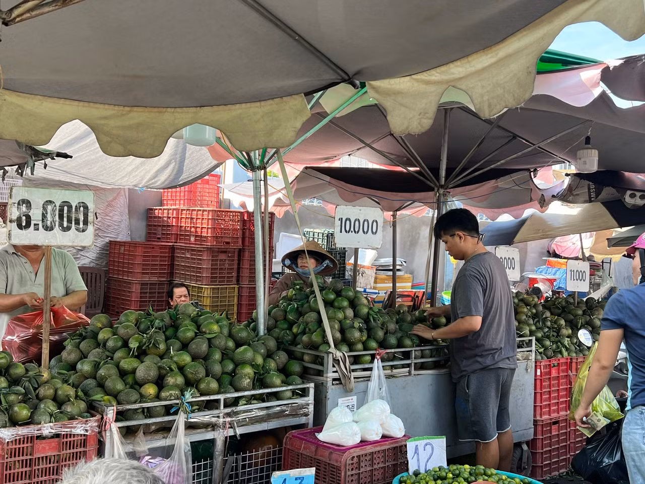 Chỉ cần vài chục nghìn đồng, người dân có thể mua vài ký cam về vắt nước uống cả nhà. Dù cam có giá rất rẻ nhưng tại nhiều hàng quán, giá một ly nước cam vẫn không hề giảm giá. Cụ thể, ly nước cam ở quán vỉa hè bán mang đi có giá khoảng 20.000 đồng/ly; còn vào tiệm cà phê, nhà hàng... nước cam có giá gấp từ 50.000 - 80.000 đồng/ly...