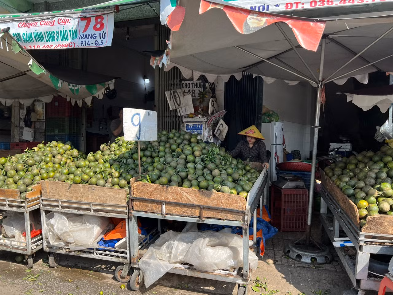 Tại khu chợ trái cây trên đường Trang Tử (quận 5), tiểu thương bán cam sành phân theo từng loại, cắm bảng niêm yết giá khác nhau, từ 8.000 - 11.000 đồng/kg. "Cam chúng tôi bán đều là hàng tuyển, bao ăn, cuống tươi mới hái. Quả cam to bằng nắm tay, một ký khoảng 3 - 4 quả. Tuy giá cam đang thuộc loại trái cây có giá rẻ nhất ở chợ nhưng khách mua khá ít" - chị Hồng, tiểu thương bán cam nói.