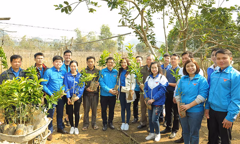 Nhiều phần quà Tết tặng học sinh khó khăn Hòa Bình ảnh 3