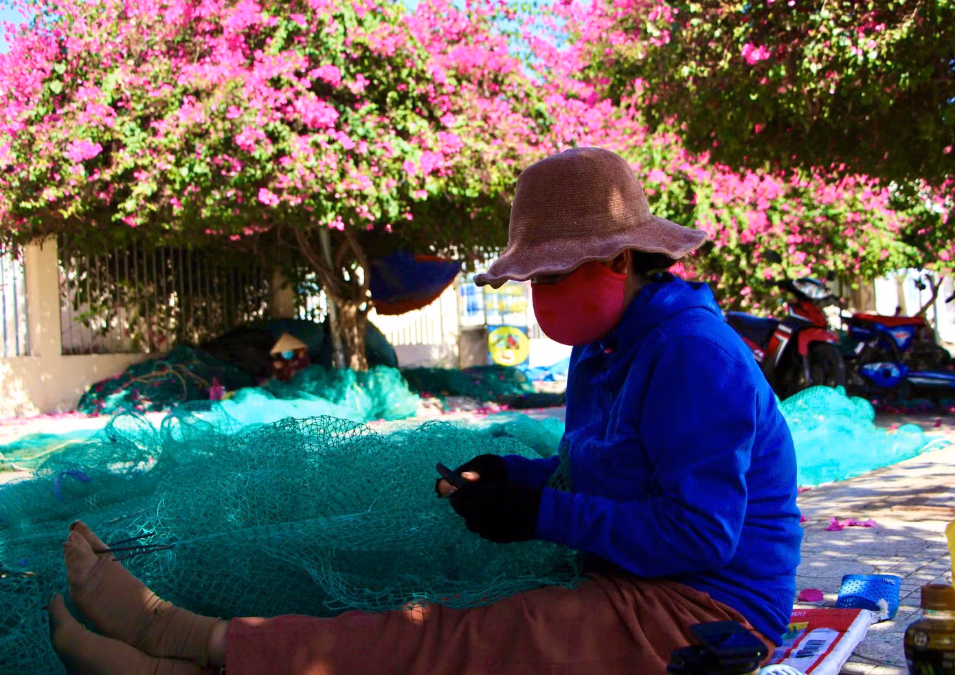 Người dân làng chài ngồi vá lưới dưới những tán hoa giấy rực hồng tạo nên khung cảnh bình yên giữa lòng phố biển sôi động.
