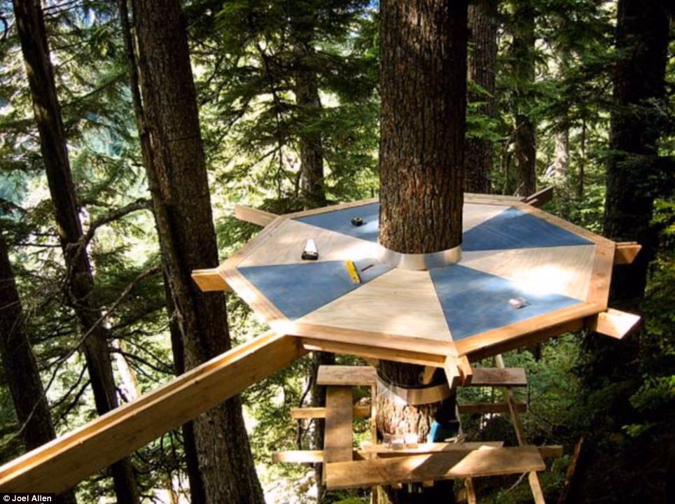 Joel đã mất nhiều năm để xây dựng Treehouse. 