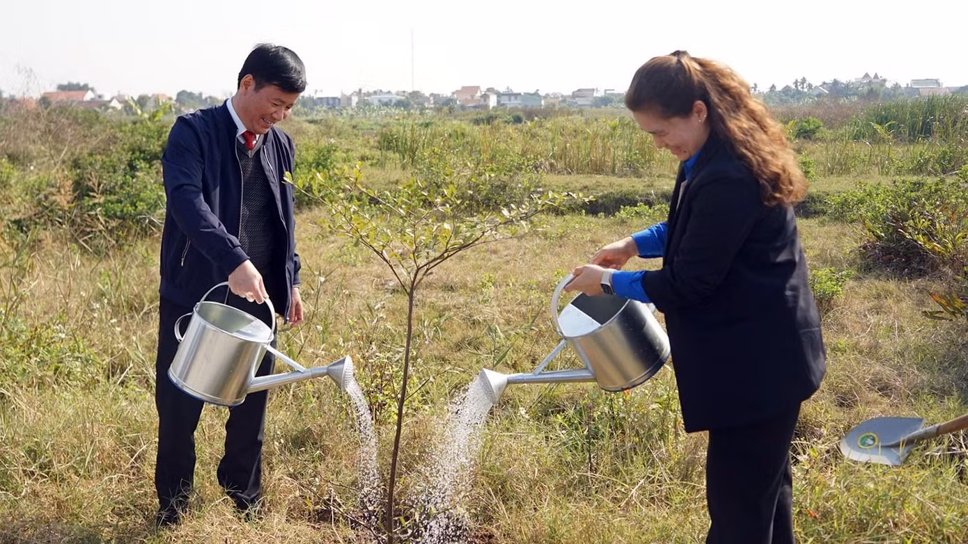 Dịp này, toàn thành phố sẽ trồng mới 15.000 cây xanh.
