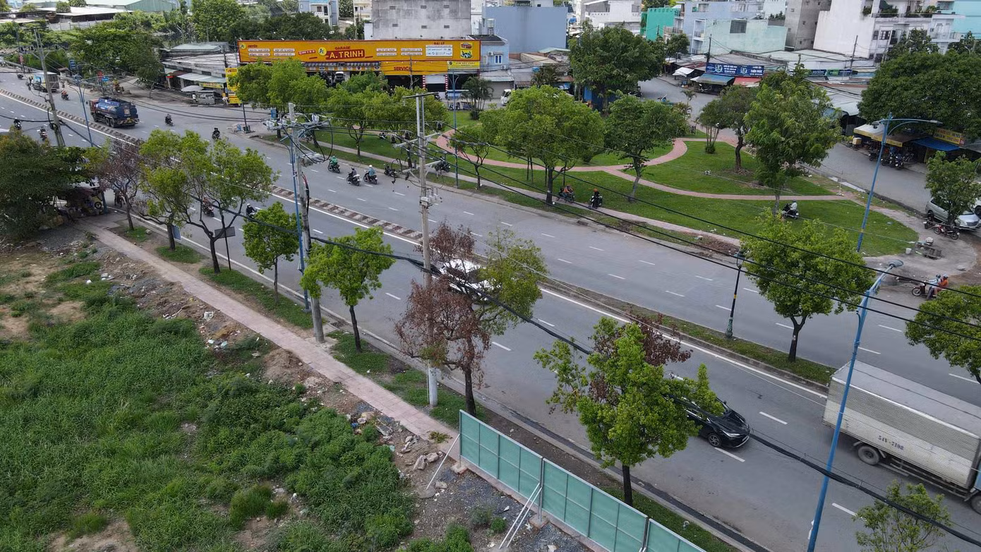 Loạt cây xanh trên đường Trần Văn Giàu héo rũ, chết dần.
