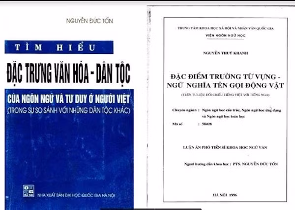 40% giáo viên chưa đạt chuẩn: Giải quyết thế nào? ảnh 4